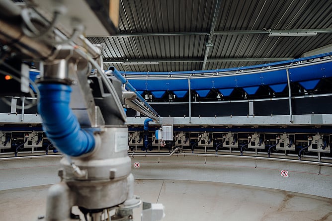 Clean food-grade stainless steel milking plant after a Deosan bomb wash