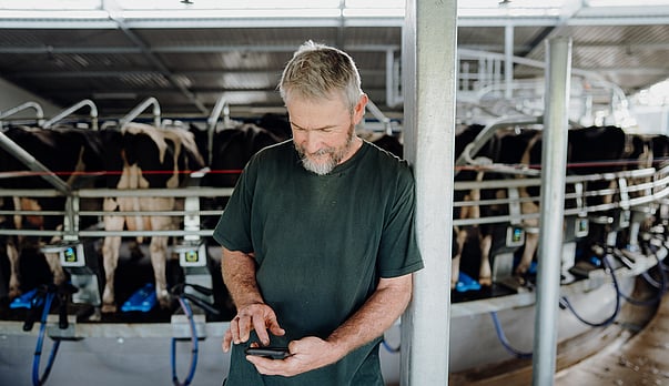 The Run to Peak Milk: Why Live Vat Monitoring Matters Most Right Now