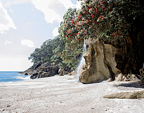 When is the best time of year to hike the Coromandel trails?