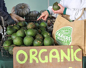5 Reasons to Shop at your Local Farmers Market