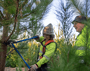 Forestry confirms vocational training partnership with Competenz