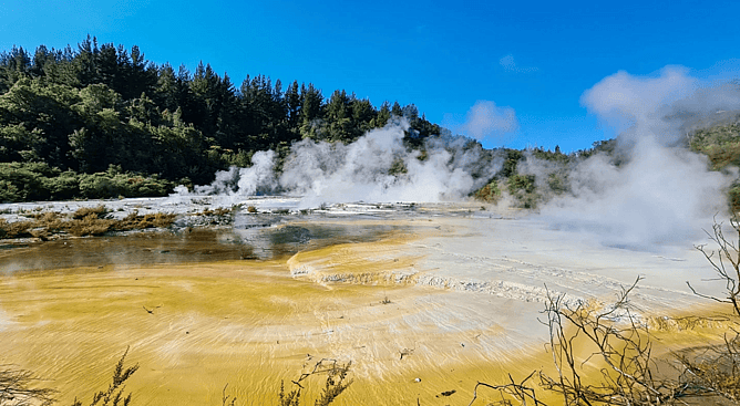 Vibrant yellow algae and active steam vents at Orakei Korako Geothermal Park Taupo