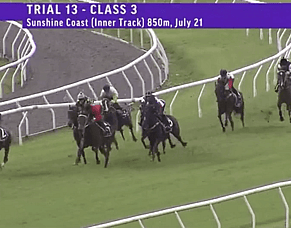Vin Santo Makes Encouraging Start for New Stable