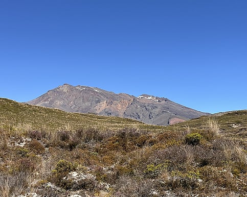 Mount Ruapehu looking south from the Tama Lakes Track