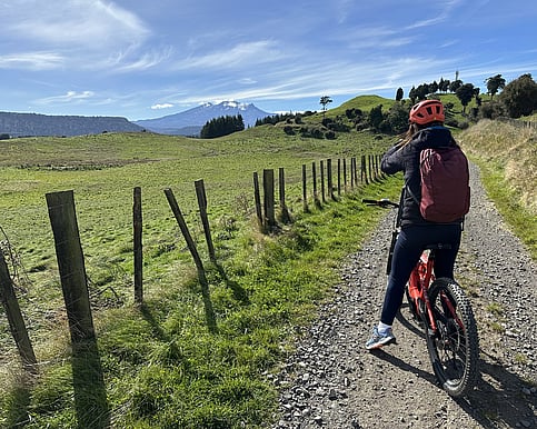 Mt Ruapehu from the Ratamaire Road track
