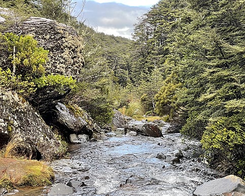 Whakapapa Walking Tracks (Taranaki Falls)
