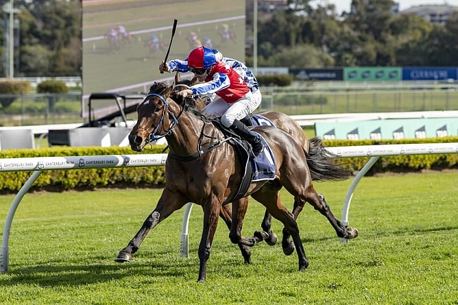 Persian Wonder wins the $100,000 super maiden.  - Photo: Bradleyphotos.com.au