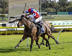 Hello Youmzain 2YO Wins $100,000 Super Maiden