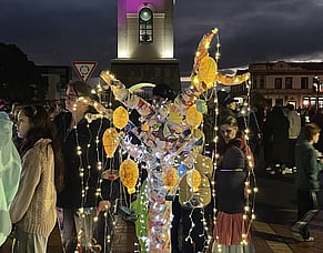 Our Matariki Tree