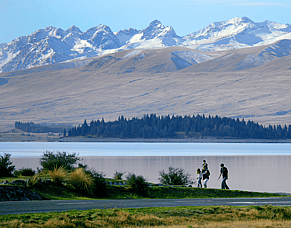 Activities in Lake Tekapo This Spring: A Hiking &amp; Outdoor Guide