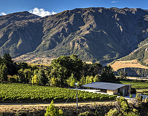 Altitude meets attitude at Central's Coal Pit Wines
