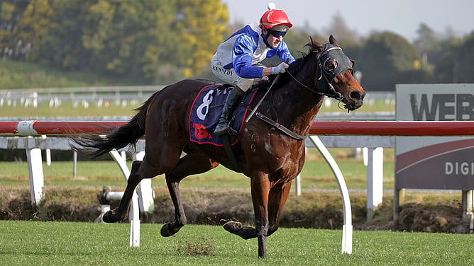 Jethro Tull winning at Te Rapa at Saturday - Photo: Kenton Wright (Race Images)