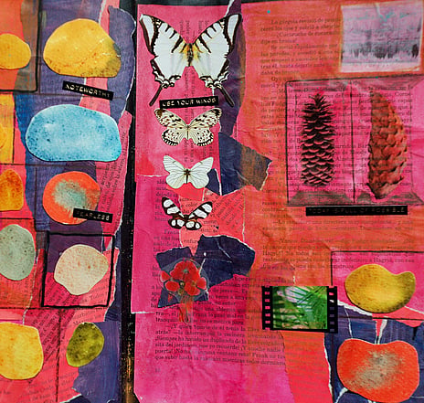 Mixed media collage with pink background, various butterflies, pinecone print and abstract shapes. Deb Brock's Mixed Media & Collage workshop for Waimarino Art Awards 2026. Image by Photo by <a href="https://unsplash.com/@miracleday?utm_source=unsplash&utm_medium=referral&utm_content=creditCopyText">Elena Mozhvilo</a> on <a href="https://unsplash.com/photos/collage-of-natural-objects-and-butterflies-on-pink-background-d7OjMyaonjs?utm_source=unsplash&utm_medium=referral&utm_content=creditCopyText">Unsplash</a>