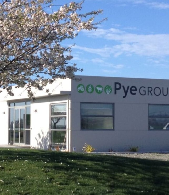 The Pye Group head office in Canterbury, with spring blossom in the foreground