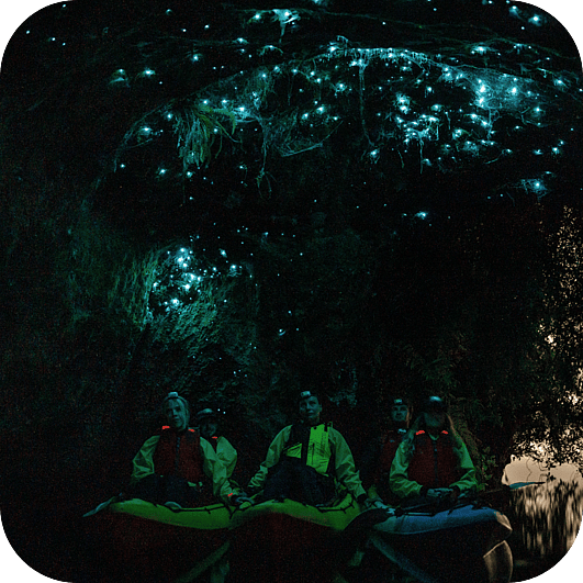 Glow Worm Adventure Kayak tour in Rotorua with guests kayaking through glow worm caves at night.