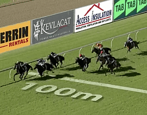 Rose Noir Battles Brave Second at Sunshine Coast