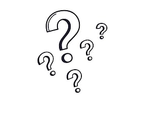 Letting Go to Lead: Putting My Questioning Hat Back On