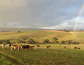 Managing springtime stress