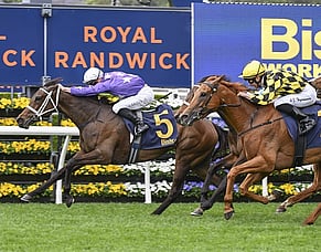 NZB Group One Graduates to be Celebrated at National Breeding Awards