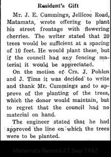 Titled "Resident's Gift." Reports that Mr. J. E. Cummings of Jellicoe Road offered to plant 20 flowering cherry trees along his street frontage spaced 10 feet apart. The council voted to accept the gift and thank him, though noted they could not supply fencing material.
