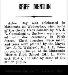 Newspaper snippet from the Matamata Record, August 5, 1943, reporting on Arbor Day tree-planting in Firth Street using cherry trees donated by Mr. J. E. Cummings.