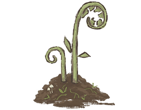 Tūhono impact - how a free resource is helping community groups grow, track and share the difference they make