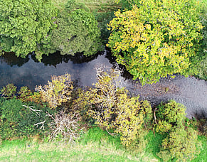 Restoring the mauri of a river unites a community
