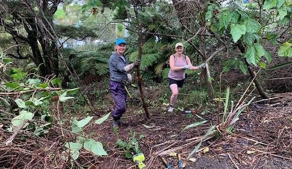 Restoring Turanga &ndash; One Saturday at a time