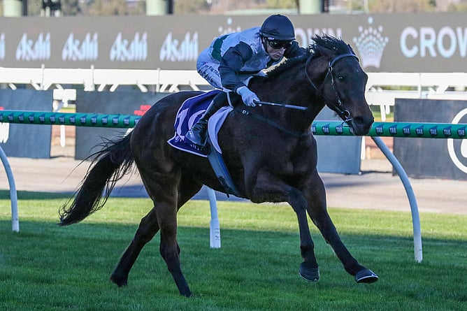 Touchdown justified hot favouritism with a dominant win in the A$130,000 2026 Melbourne Cup Carnival On Sale Handicap (1620m) at Flemington on Saturday. - Photo: Bruno Cannatelli