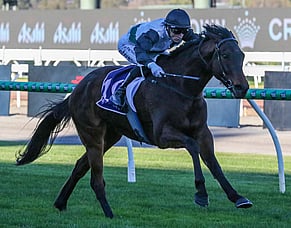 Touchdown too good at Flemington