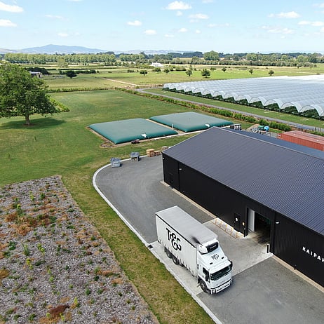 Strawberry grower 2x 500m3 flexi tanks for water storage 