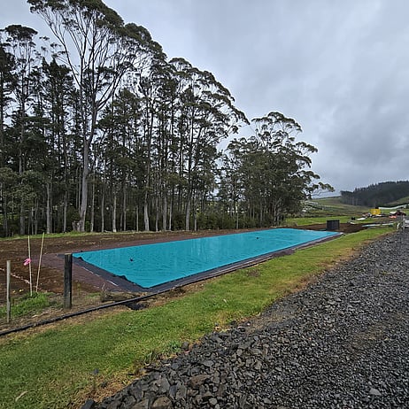 Avocado orchard 