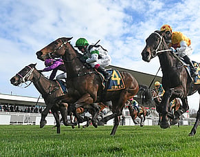 Allpress back on the stakes-winning bus