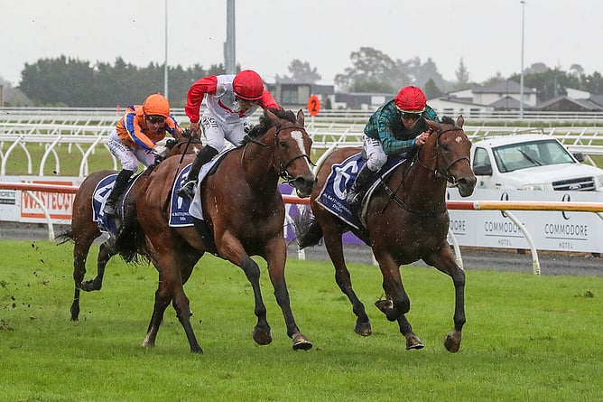 Romanoff (inside) and Affirmative Action quinellaed last year's Gr.1 New Zealand 2000 Guineas (1600m).