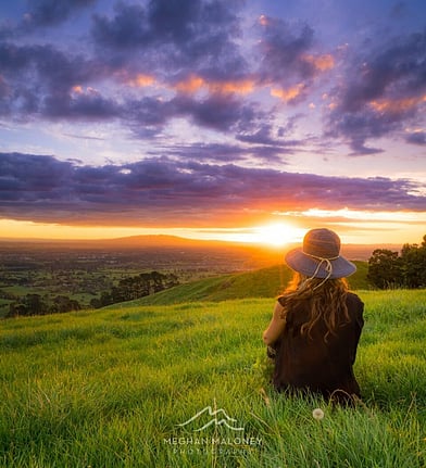 Golden hay bale field at sunset near Cambridge NZ