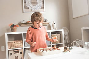 What Is Executive Function? Why Understanding and Concept Mastery Change Everything