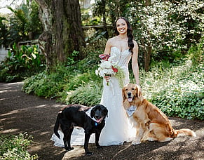 How to Include Your Dog in Your Wedding