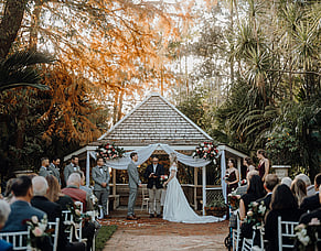 Summer vs Autumn Weddings in West Auckland: The Pros &amp; Cons