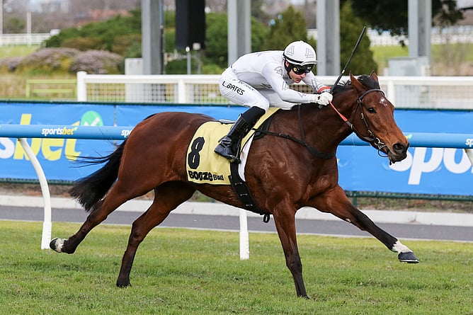 Perfect Ten notched her fifth career win in the Bottle Stop Handicap (1800m) at Caulfield - Photo: Bruno Cannatelli