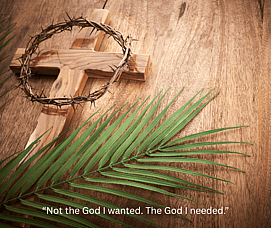 The King Who Disrupts Our Expectations: Reflections on Palm Sunday