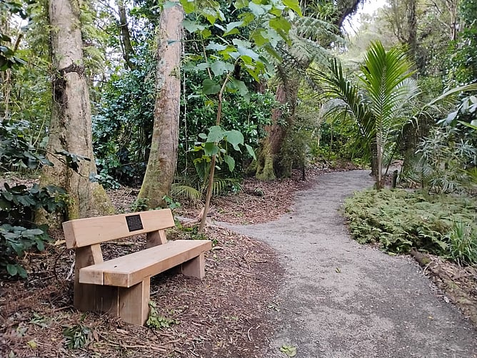 A wooden bench next to a forest path in Wellington, New Zealand