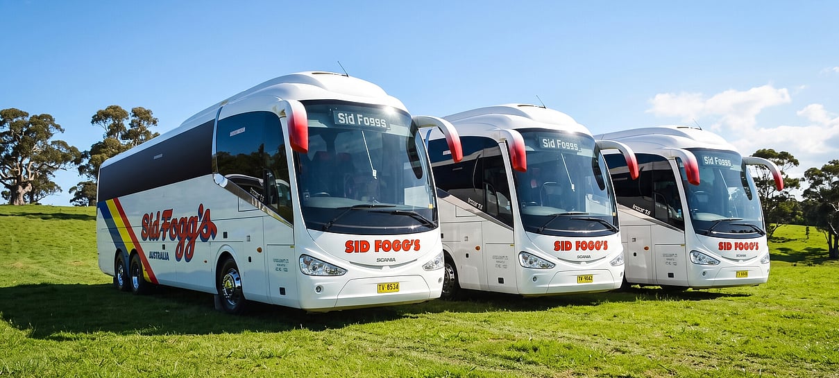 Three Sid Fogg's buses parked next to each other