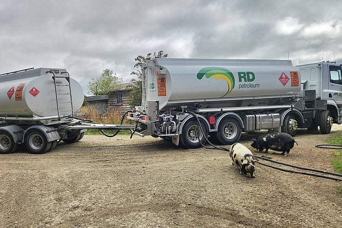 RD Petroleum fuel tanker on a rural Canterbury property with pigs walking past the wheels