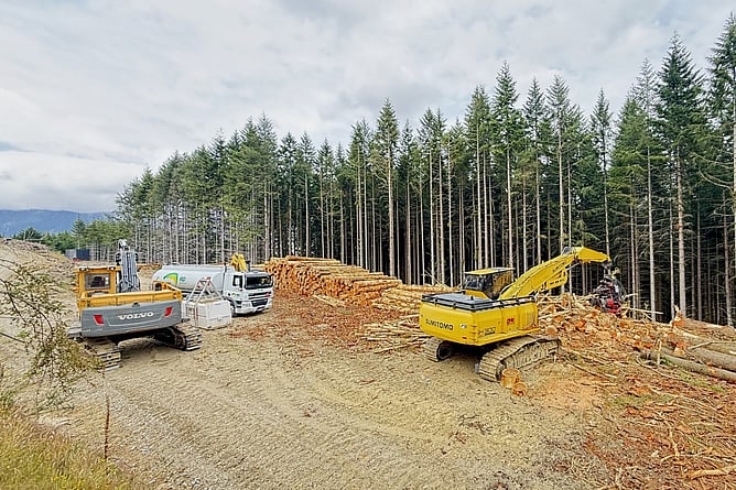 RD Petroleum fuel tanker at a forestry harvesting site near Waikaia, with logging machinery and stacked logs
