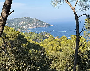 Joanne&rsquo;s Spanish Adventure: From Girona to Alicante, One Concert at a Time