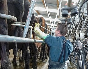 Dirty cow problem: Why should we metricheck?