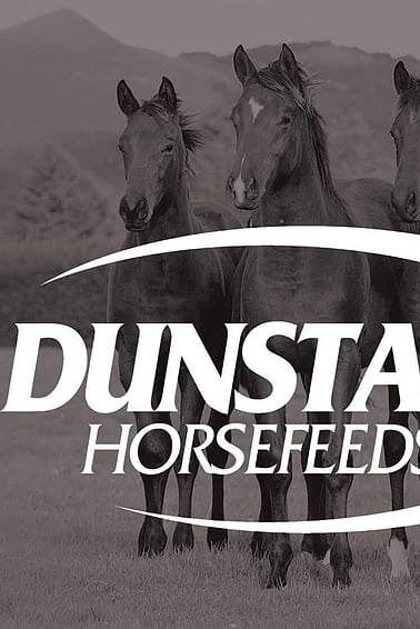 Dunstan Horsefeeds