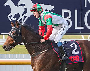 Broodmare career beckons Inflamed