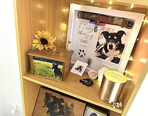 How to Choose the Perfect Pet Memorial