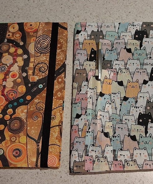 Notebook art by Francis Newman